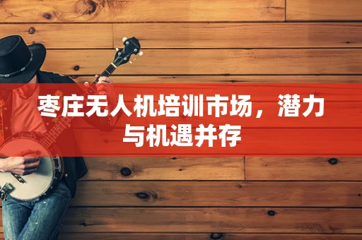 枣庄无人机培训市场，潜力与机遇并存