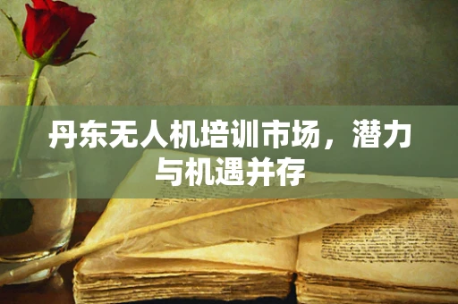 丹东无人机培训市场，潜力与机遇并存
