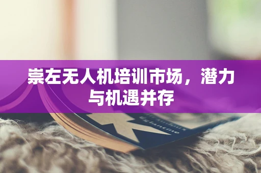 崇左无人机培训市场，潜力与机遇并存