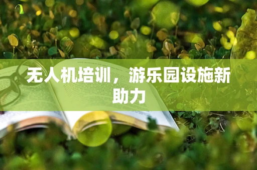 无人机培训，游乐园设施新助力