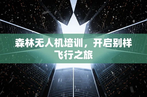 森林无人机培训，开启别样飞行之旅