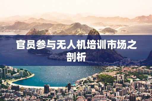 官员参与无人机培训市场之剖析