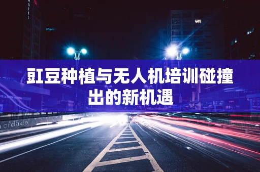 豇豆种植与无人机培训碰撞出的新机遇