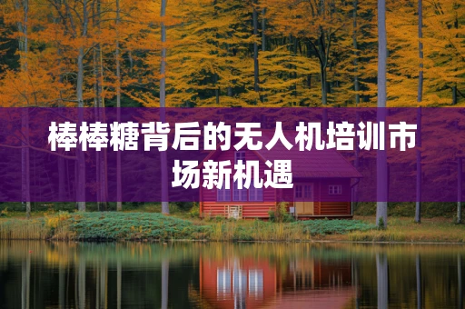 棒棒糖背后的无人机培训市场新机遇