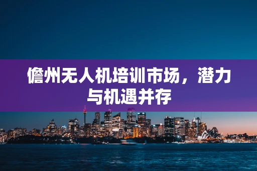 儋州无人机培训市场，潜力与机遇并存