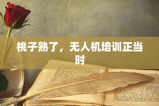 桃子熟了，无人机培训正当时