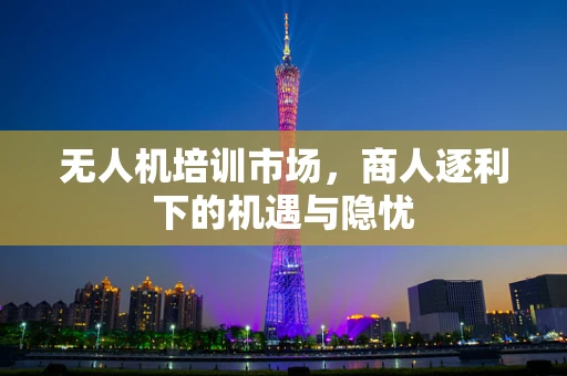 无人机培训市场，商人逐利下的机遇与隐忧