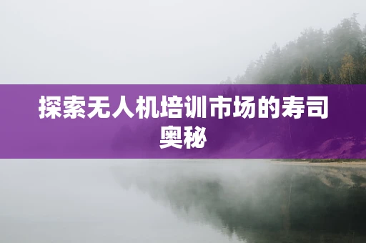 探索无人机培训市场的寿司奥秘