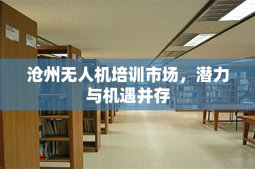 沧州无人机培训市场，潜力与机遇并存