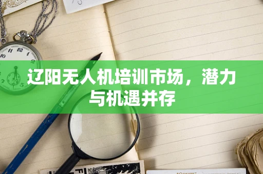 辽阳无人机培训市场，潜力与机遇并存