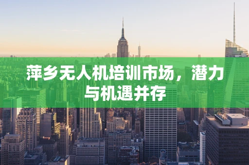 萍乡无人机培训市场，潜力与机遇并存