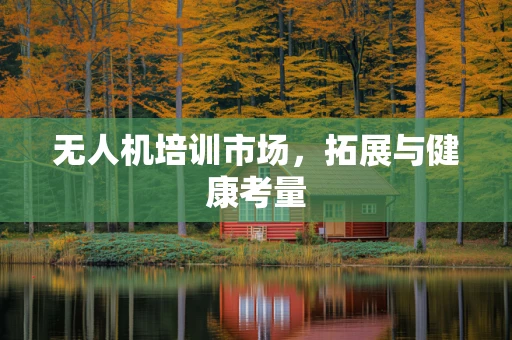无人机培训市场，拓展与健康考量