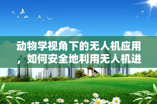 动物学视角下的无人机应用，如何安全地利用无人机进行野生动物监测？