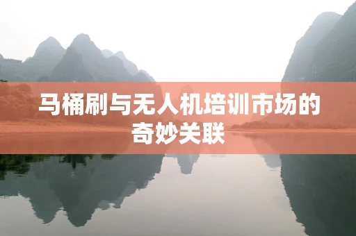马桶刷与无人机培训市场的奇妙关联