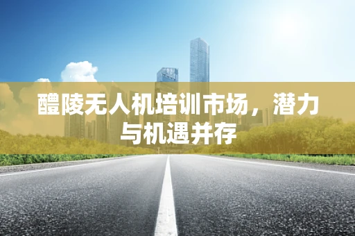 醴陵无人机培训市场，潜力与机遇并存
