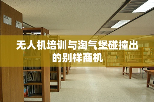 无人机培训与淘气堡碰撞出的别样商机