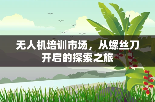 无人机培训市场，从螺丝刀开启的探索之旅