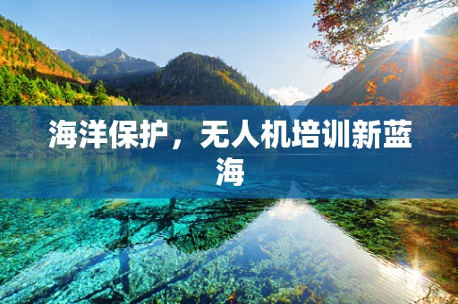 海洋保护，无人机培训新蓝海