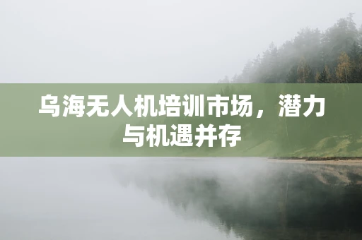 乌海无人机培训市场，潜力与机遇并存
