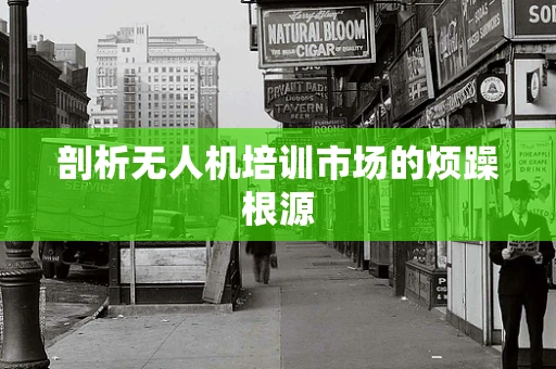 剖析无人机培训市场的烦躁根源