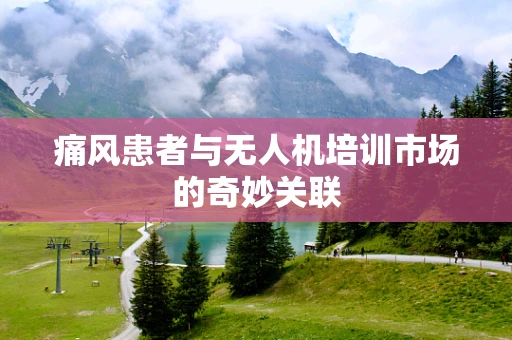 痛风患者与无人机培训市场的奇妙关联