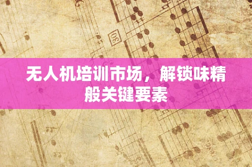 无人机培训市场，解锁味精般关键要素