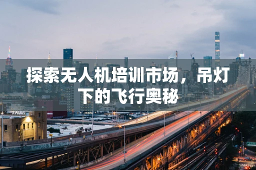 探索无人机培训市场，吊灯下的飞行奥秘