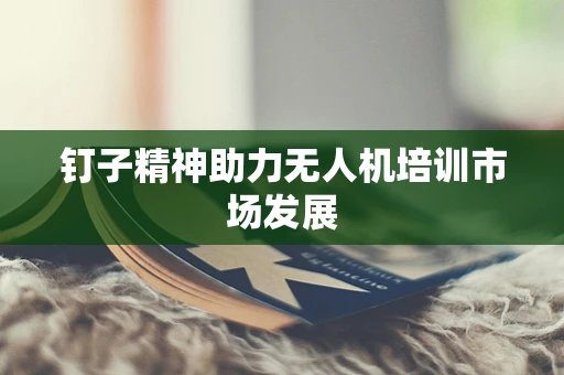 钉子精神助力无人机培训市场发展