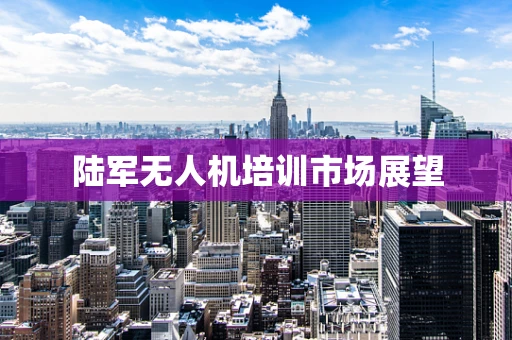 陆军无人机培训市场展望