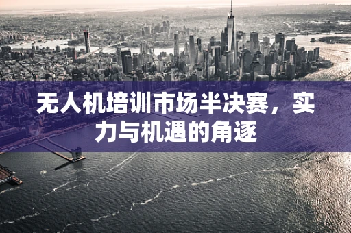 无人机培训市场半决赛，实力与机遇的角逐