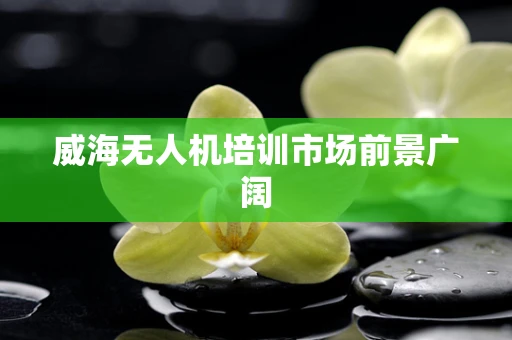 威海无人机培训市场前景广阔