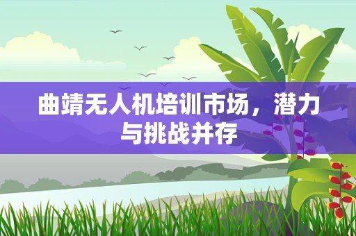 曲靖无人机培训市场，潜力与挑战并存