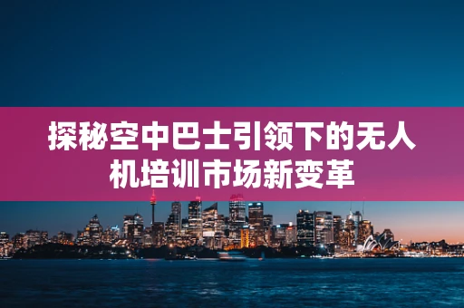 探秘空中巴士引领下的无人机培训市场新变革