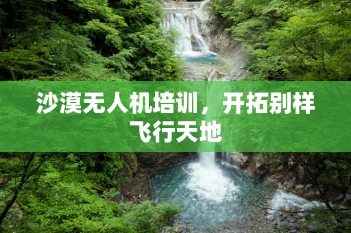 沙漠无人机培训，开拓别样飞行天地