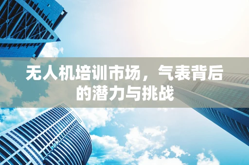 无人机培训市场，气表背后的潜力与挑战