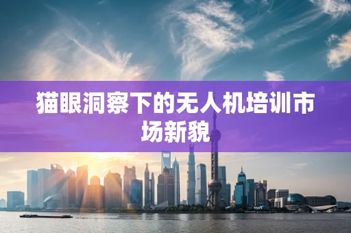 猫眼洞察下的无人机培训市场新貌