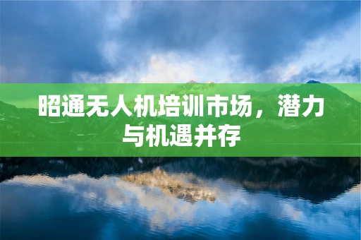 昭通无人机培训市场，潜力与机遇并存
