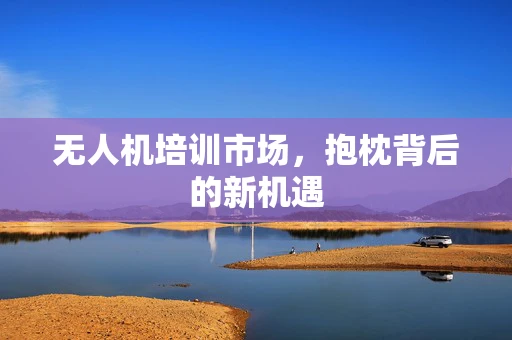 无人机培训市场，抱枕背后的新机遇