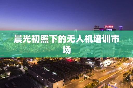 晨光初照下的无人机培训市场