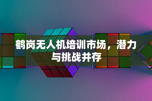 鹤岗无人机培训市场，潜力与挑战并存