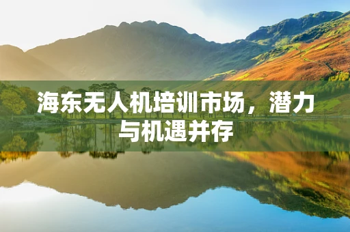 海东无人机培训市场，潜力与机遇并存