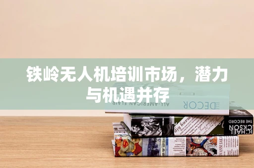 铁岭无人机培训市场，潜力与机遇并存