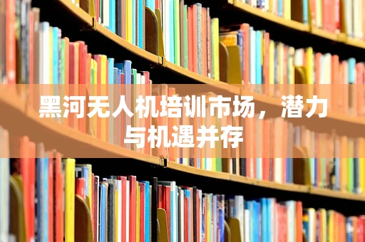 黑河无人机培训市场，潜力与机遇并存