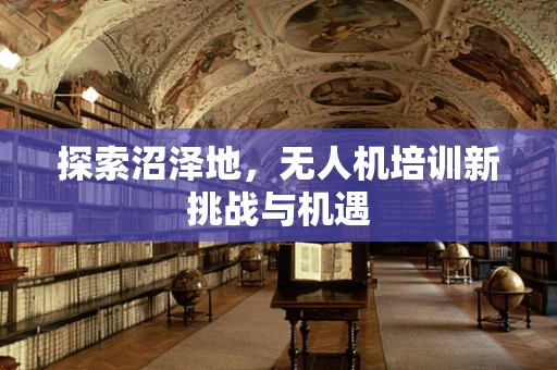 探索沼泽地，无人机培训新挑战与机遇