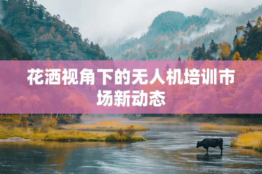 花洒视角下的无人机培训市场新动态