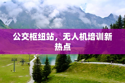 公交枢纽站，无人机培训新热点