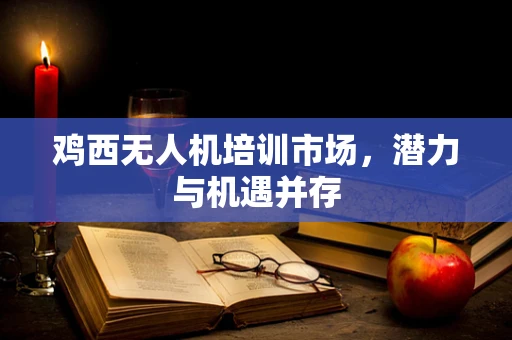 鸡西无人机培训市场，潜力与机遇并存