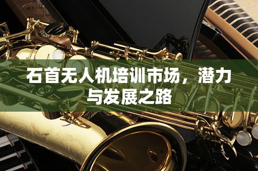 石首无人机培训市场，潜力与发展之路