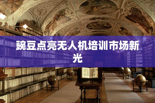 豌豆点亮无人机培训市场新光
