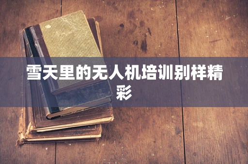 雪天里的无人机培训别样精彩